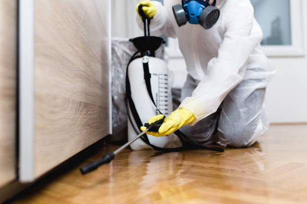 Best Wasp Removal Services  in Smithville, NJ