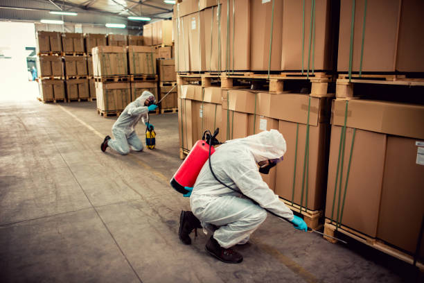 Best Affordable Exterminators  in Smithville, NJ