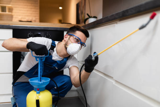 Best Flea Control Services  in Smithville, NJ