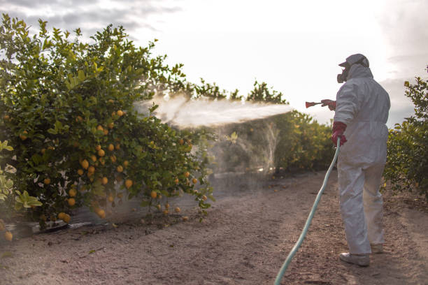 Best Emergency Pest Control  in Smithville, NJ